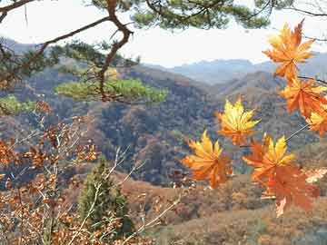 金正恩登上了一艘“神秘舰船”背后隐藏的真相与悬念