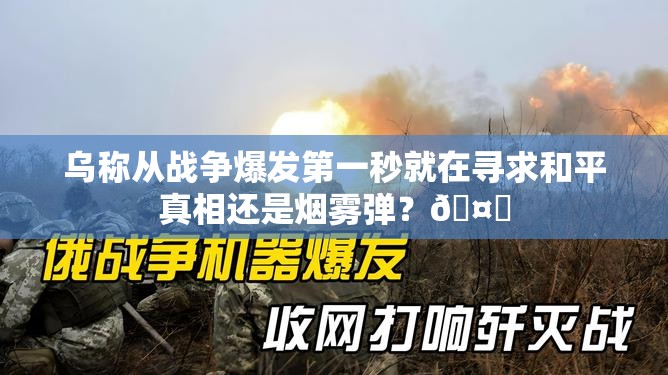 乌称从战争爆发第一秒就在寻求和平真相还是烟雾弹？🤔