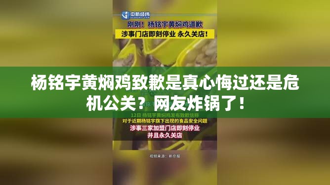 杨铭宇黄焖鸡致歉是真心悔过还是危机公关？网友炸锅了！