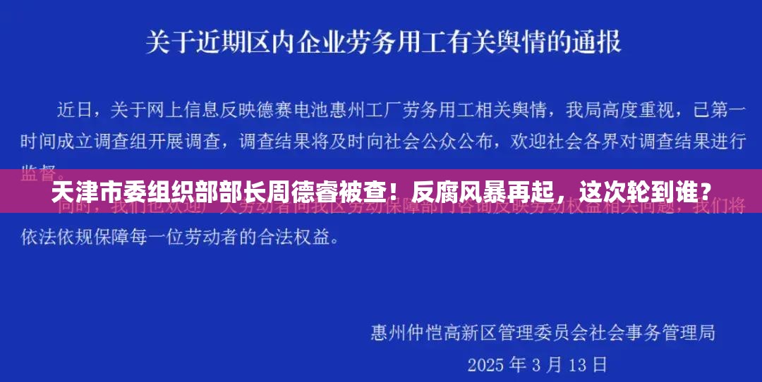 天津市委组织部部长周德睿被查！反腐风暴再起，这次轮到谁？