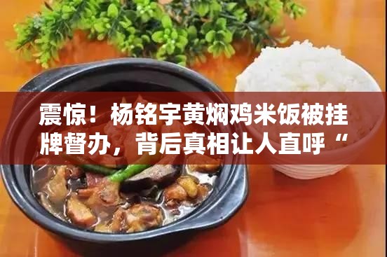 震惊！杨铭宇黄焖鸡米饭被挂牌督办，背后真相让人直呼“离谱”！