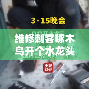 维修刺客啄木鸟 开个水龙头收100