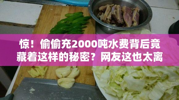 惊！偷偷充2000吨水费背后竟藏着这样的秘密？网友这也太离谱了！