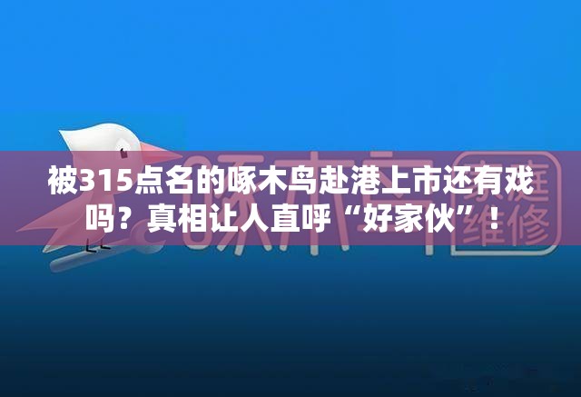 被315点名的啄木鸟赴港上市还有戏吗？真相让人直呼“好家伙”！