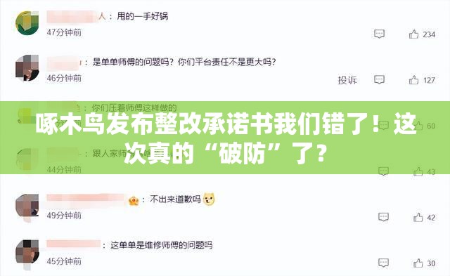 啄木鸟发布整改承诺书:我们错了