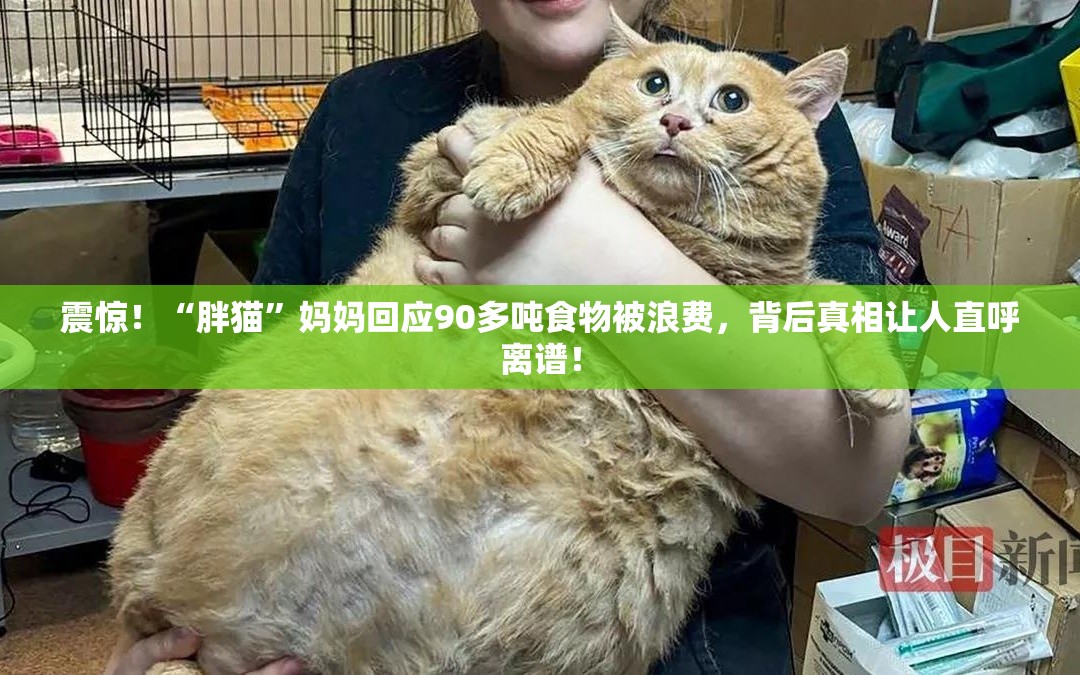 震惊！“胖猫”妈妈回应90多吨食物被浪费，背后真相让人直呼离谱！