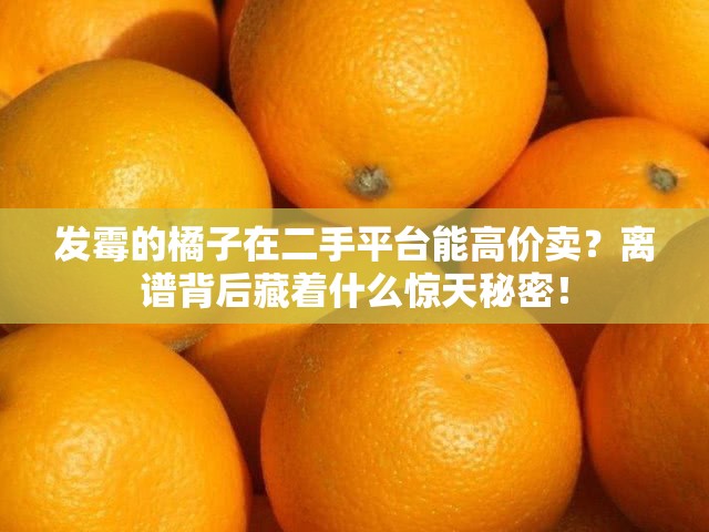 发霉的橘子在二手平台能高价卖？离谱背后藏着什么惊天秘密！