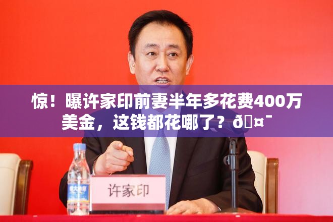 惊！曝许家印前妻半年多花费400万美金，这钱都花哪了？🤯