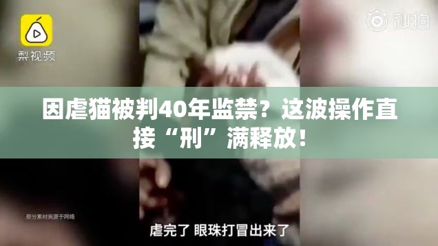 因虐猫被判40年监禁？这波操作直接“刑”满释放！