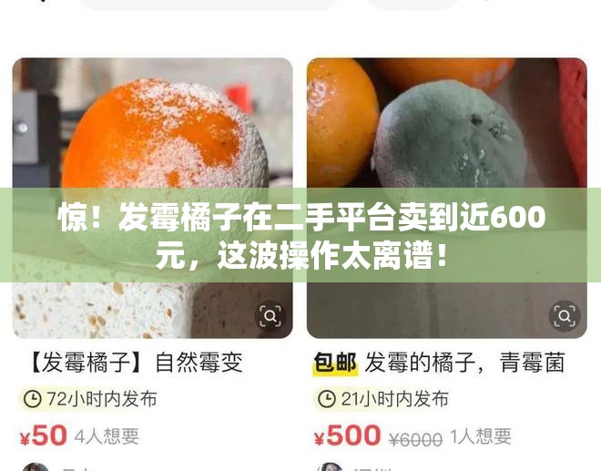 惊！发霉橘子在二手平台卖到近600元，这波操作太离谱！